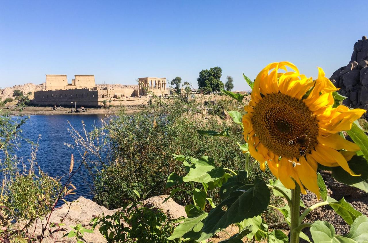 Eco Nubia Villa Aswan Exterior photo